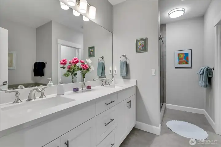 Lower Level 5 Piece Bath