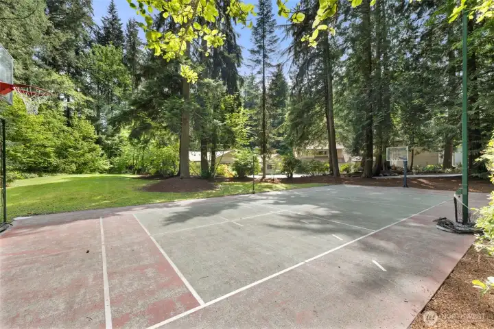 Sports Court with Basketball, Racketball Net and Thether Ball.