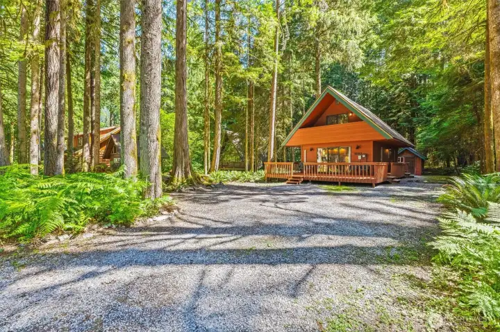 Long private driveway enhances the secluded mountain cabin experience.