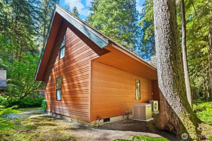 Rear exterior of cabin backing to National Forest for added privacy and recreation access.
