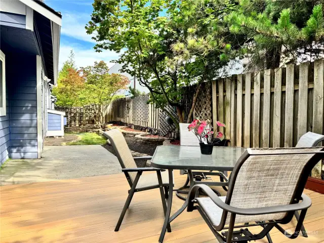 Close up of Composite Deck and Patio