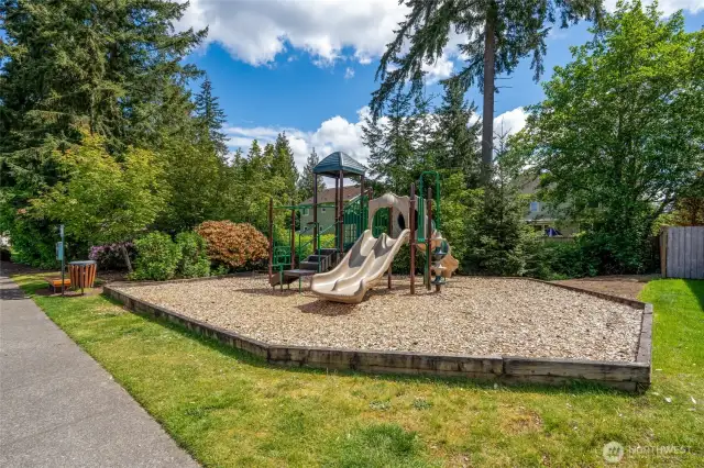 Local Park