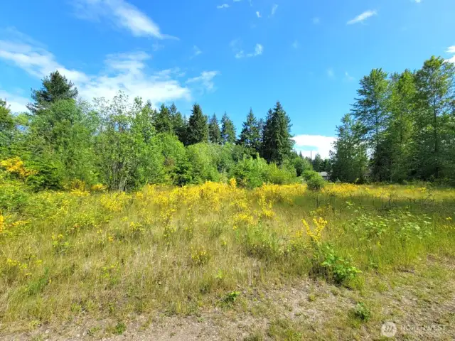 Back section of property, you can just barely make out the neighboring house in the background