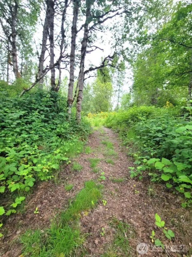 One of the many trails