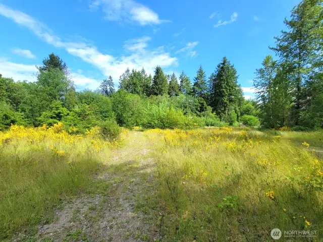 Middle trail