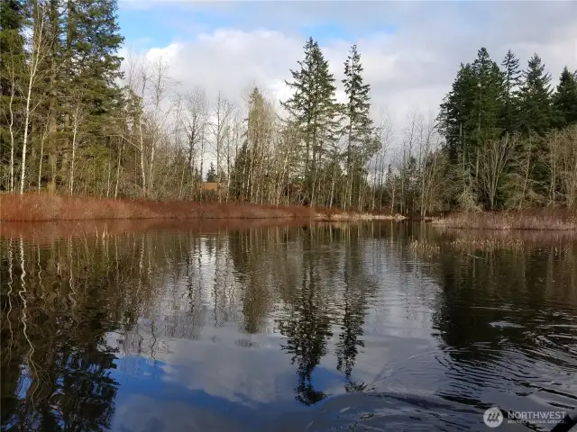 Pond during Fall months - as seen from a small rowboat.