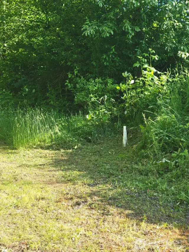 Entry property line marker