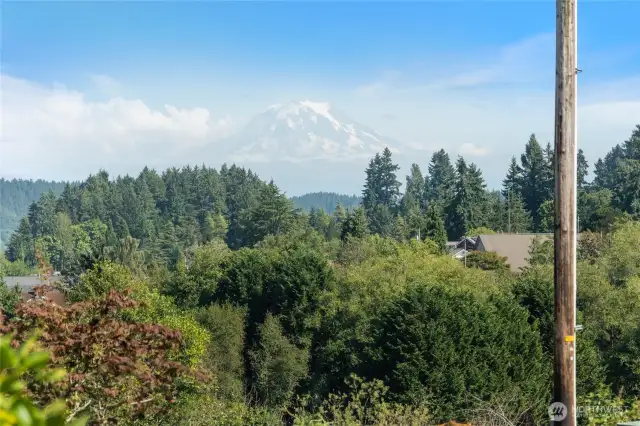 Spectacular views of Mt. Rainier are visible from this home/property.