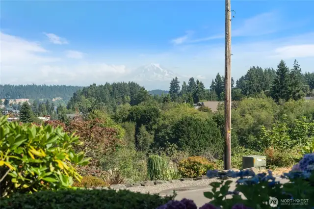 Mt. Rainier was hiding a bit this day, but on the days it is fully visible, it is spectacular.