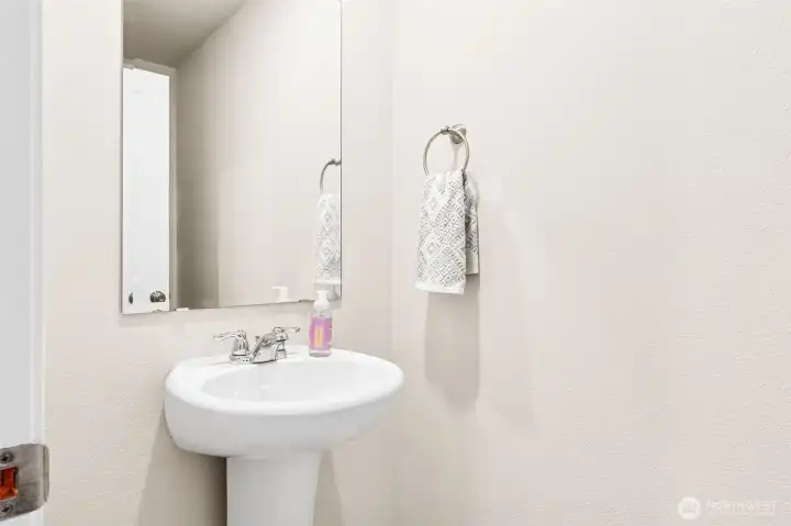 Lower Level Bathroom
