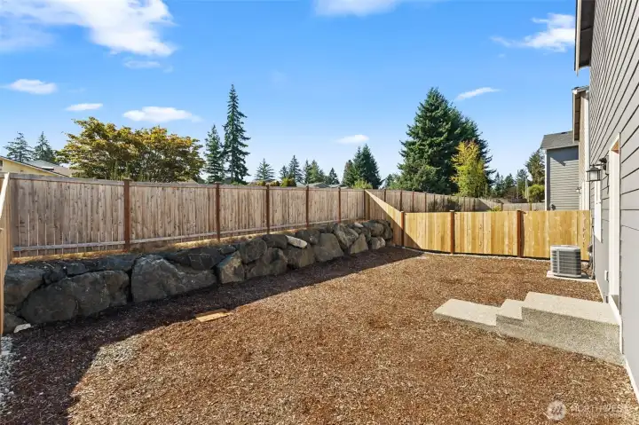 Backyard