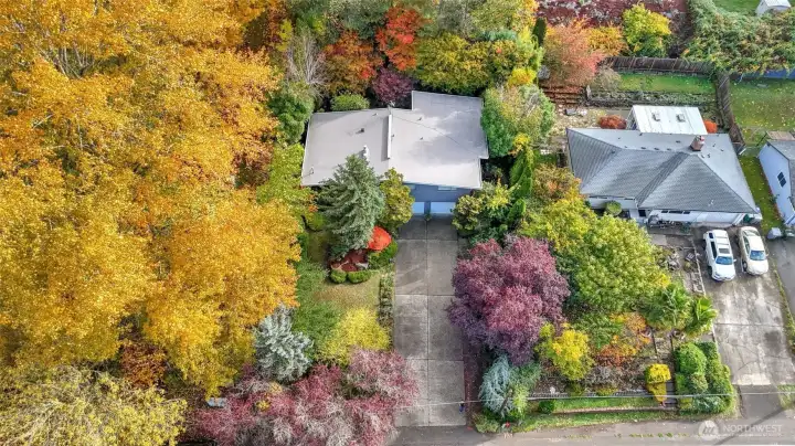 Nestled among lush greenery and colorful foliage for a true Pacific Northwest feel.