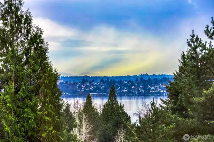 Filtered Lake Washington and Olympic Mountain views framed by evergreens. A peaceful outlook from the primary bedroom.