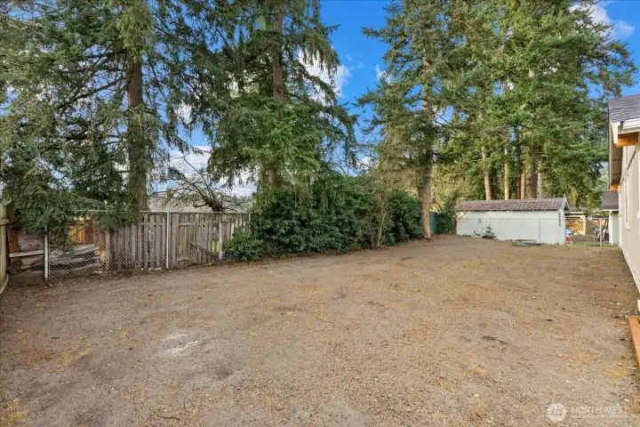 Back yard leveled and seeded