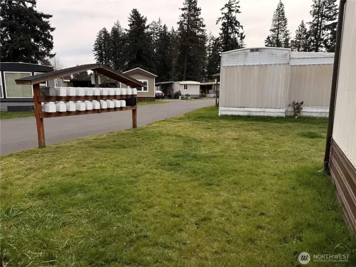 View of easy walk to get mail and large back yard for animails to play