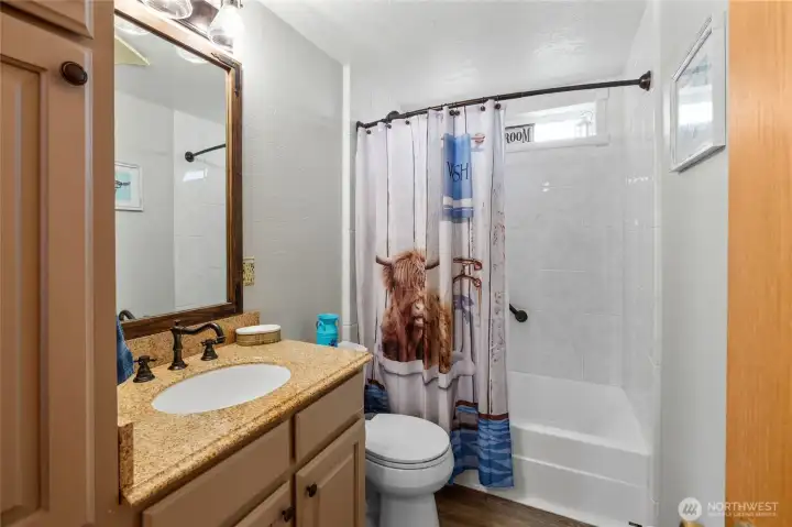 Full bath - new bath, counter and flooring!