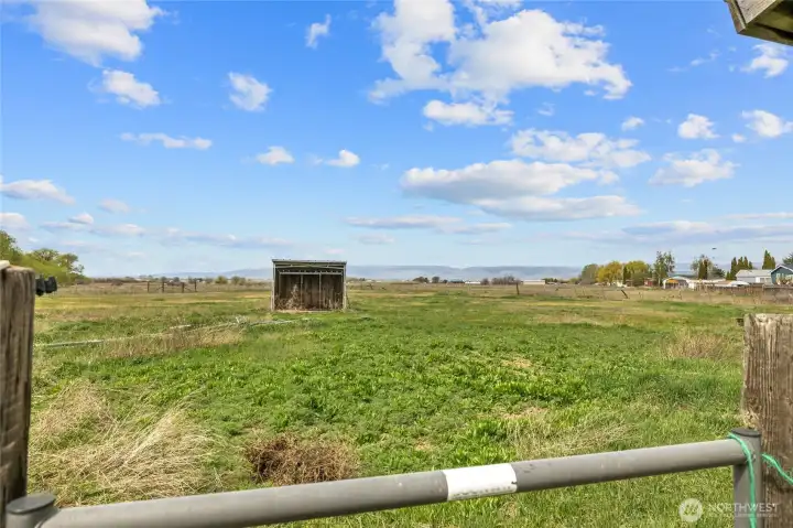Pasture with shelter barn for your animals!