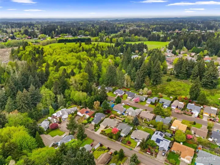 Aerial view of the neighborhood.