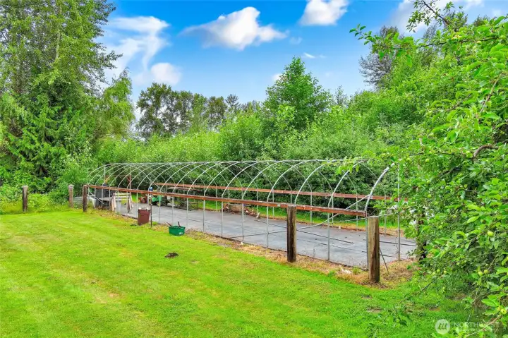 Green House