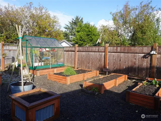 Back yard, set up for gardening.