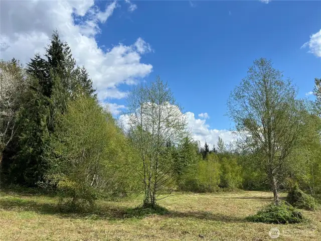 The 15 acres has woods, a stream canopy, walking trails, and a wildlife meadow.