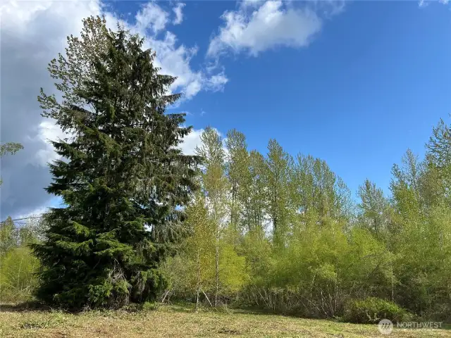 This gorgeous property can remain a solid 15 acres, but as it's rated R5 zoning, you could subdivide to reimagine it as you desire (BUYER TO VERIFY). What will YOU do with it?