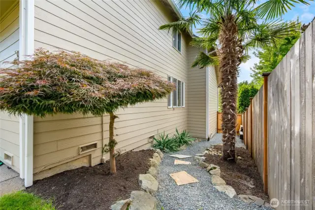 Side of home, palm trees