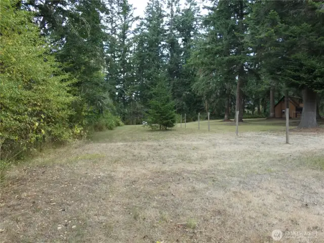 part of front yard