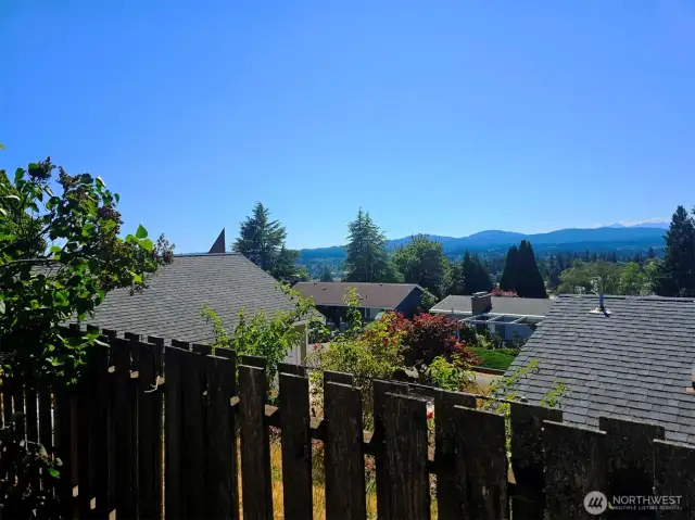 Backyard panoramic view of the olympic mts and foothills