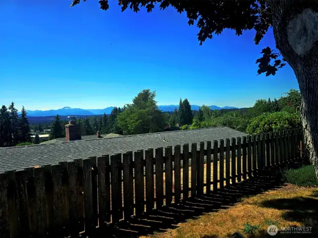 Backyard panoramic view of the olympic mts and foothills under the shade of a large maple tree