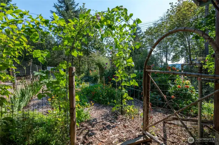 The woodchip gardening technique makes gardening here low-maintenance and super productive!