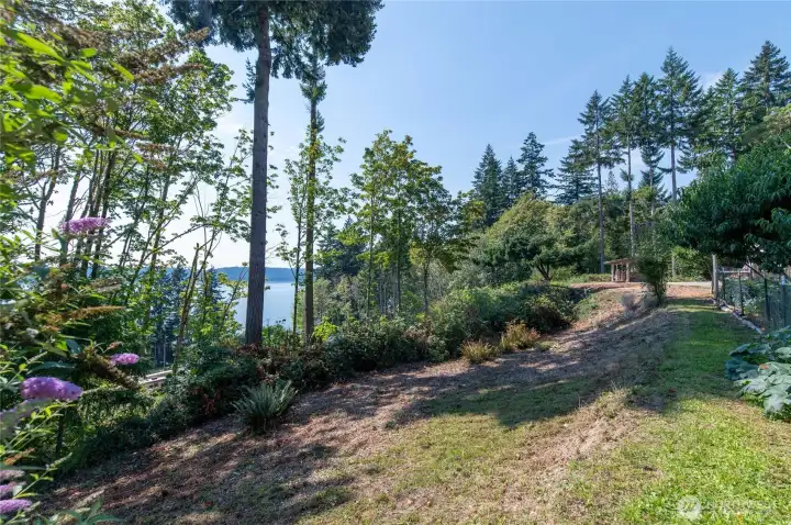This is where the installed 3 bedroom septic system is located.