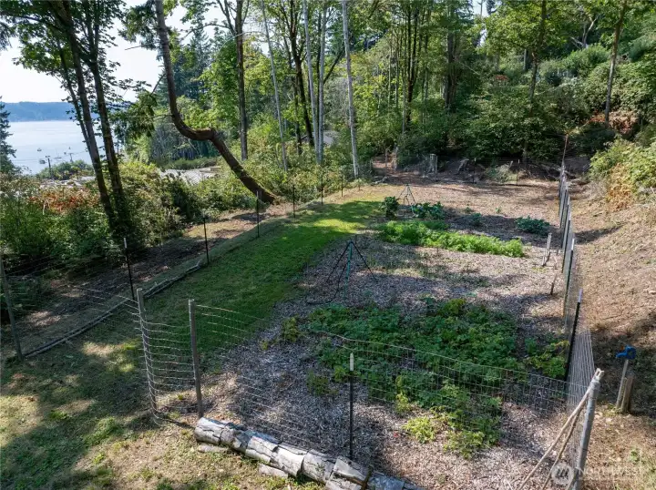 This is the lower garden, which is also irrigated. The views from this garden are so pretty!