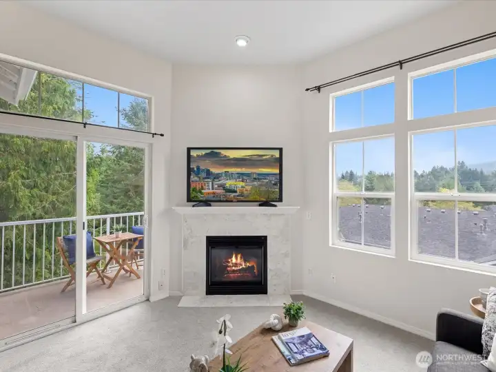 Gas fireplace.