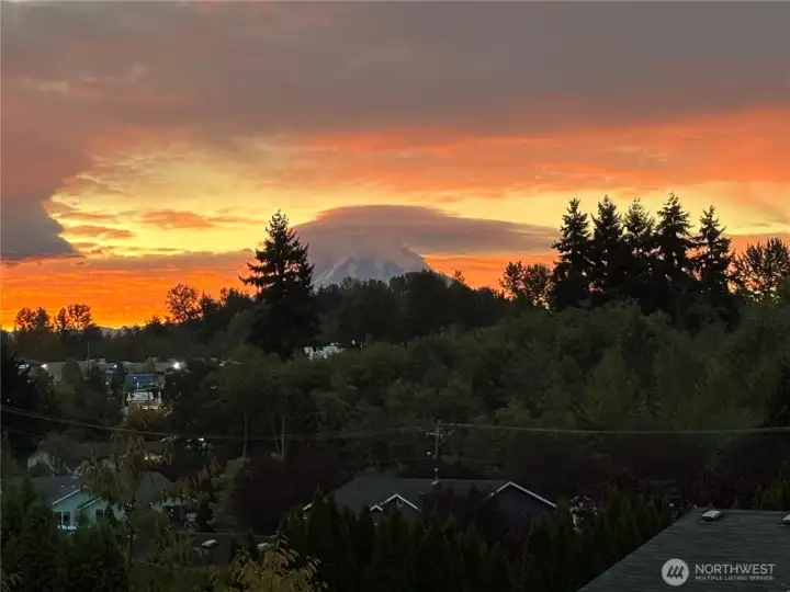 Gorgeous View From The Back Porch