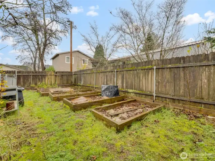 Raised bed in the backyard.