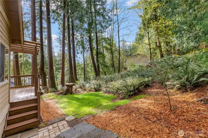 The backyard features natural landscaping and usable outdoor space.