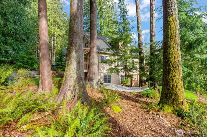 Lush, park-like setting.