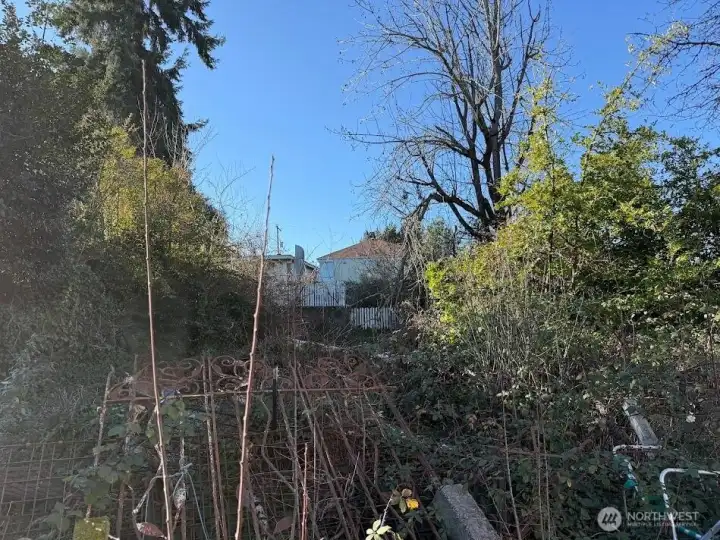 View to the West.  from the Eastern most lot.