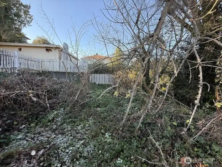 Looking at the SouthWestern corner of the lot.