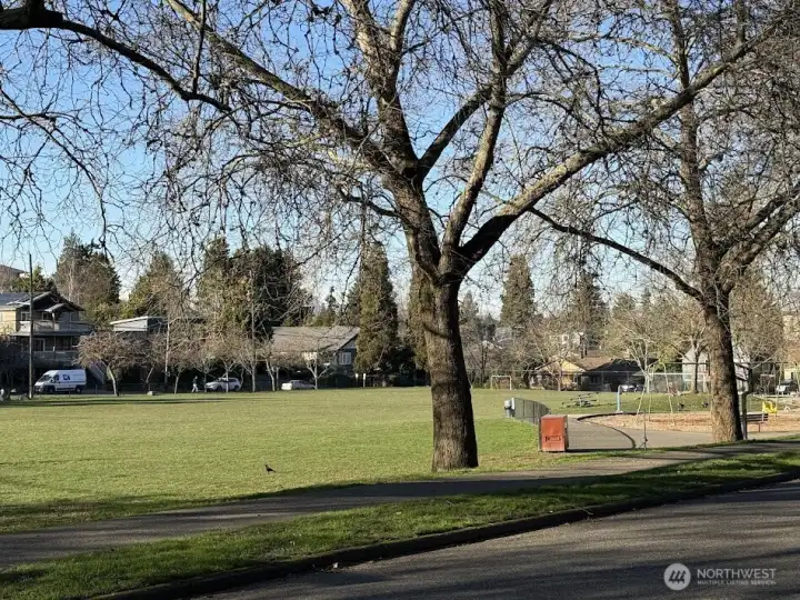 Park at Ballfields
