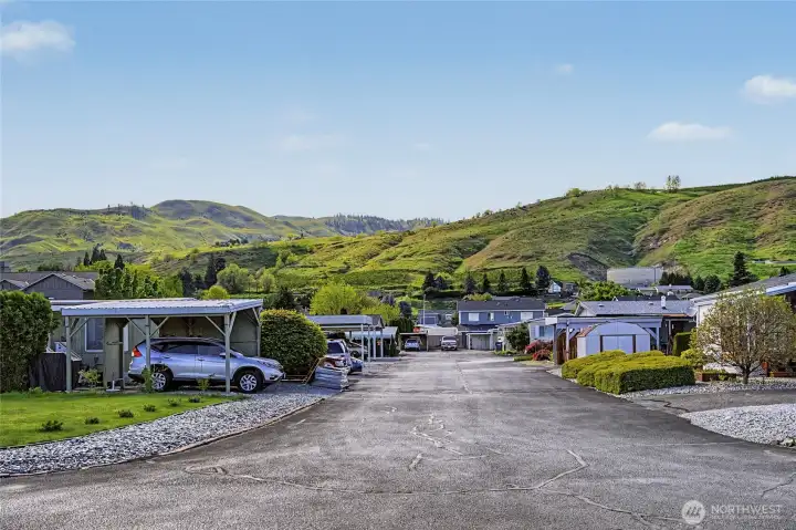 Neighborhood & foothills