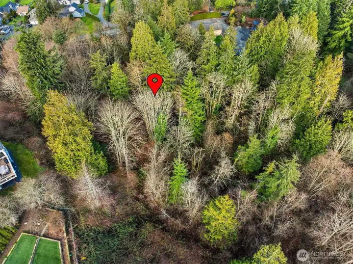 Forested Vacant Land 2.2 Acres in Lake Stevens