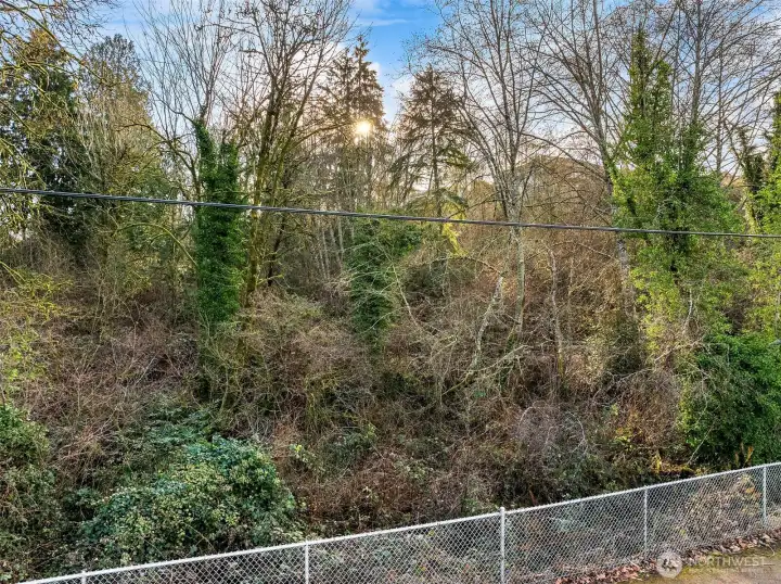 Lower view off Davies Road - Wetlands Present