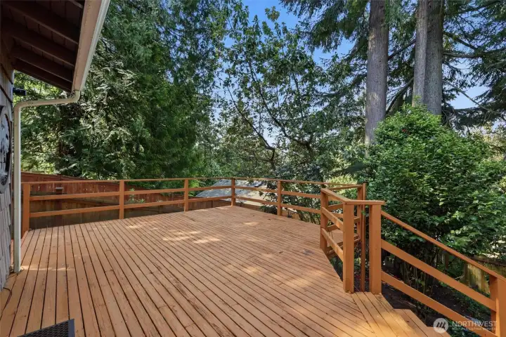 Lower deck Lower deck