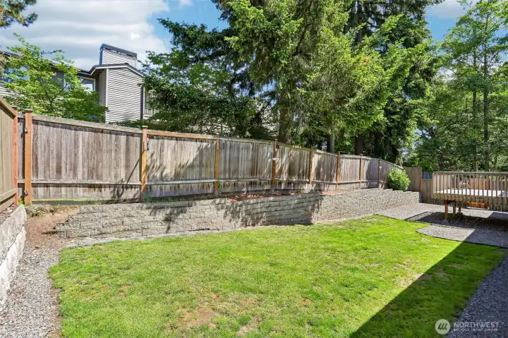 Back Yard A