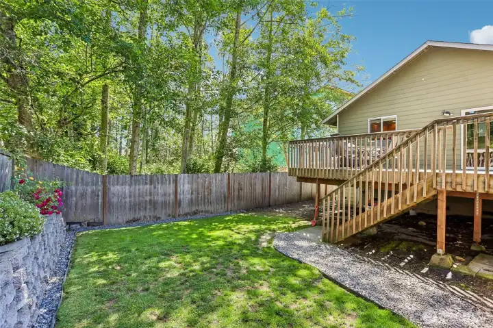 Back Yard B
