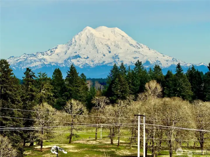This is the definition of a lock-it-and-leave-it lifestyle without sacrificing beauty, community or convenience. Less than 10 minutes from I-5, you'll enjoy easy access to Seattle, Portland and countless Pacific Northwest destinations, making spontaneous road trips and weekend adventures wonderfully easy. Closer to home, downtown Olympia is just a short drive away with its waterfront dining, arts district, live theater, festivals and year-round events. Yet every time you return home, you're greeted by the peaceful atmosphere of Ovation at Oak Tree, where the HOA maintains the front yard, neighbors know each other by name and Mount Rainier regularly makes an appearance in the distance. It's the perfect home base for those who want to spend less time maintaining and more time enjoying everything this incredible region has to offer. Also keep in mind the furniture in this home is for sale too!