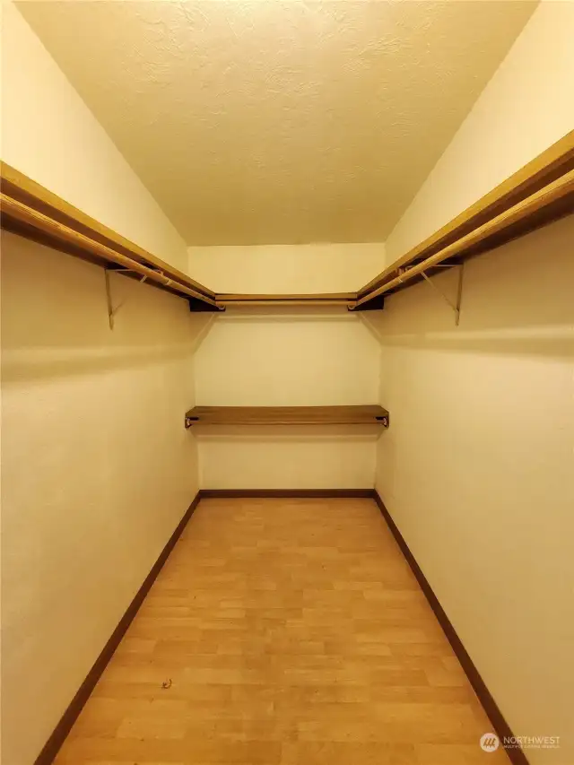 Primary bedroom has a nice walk-in closet