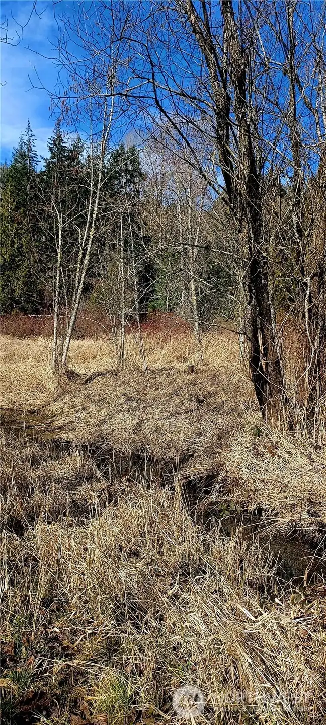 Beginning of property with well head pictured